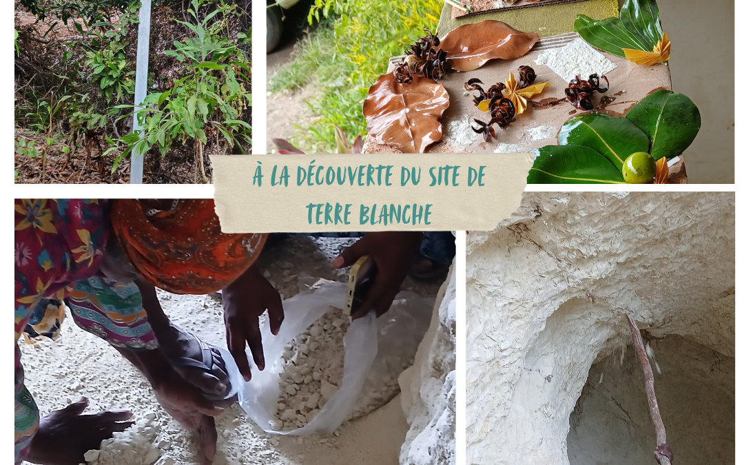 À la découverte du site de terre blanche : entre patrimoine, nature et créativité