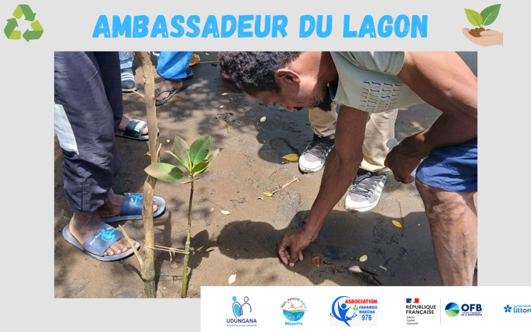 Les jeunes Ambassadeurs du Lagon en action